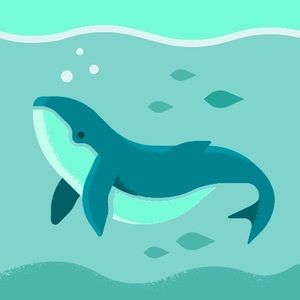 Meet your Posher, Kay